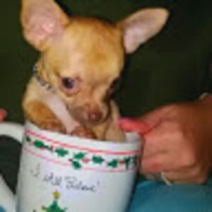 Meet your Posher, Laura